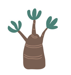 Hand Drawn Adenium Or Bottle Tree Icon