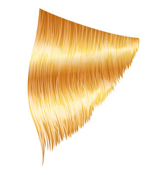 Shiny Blond Woman Hair Haircut Care