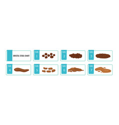 Bristol Stool Chart Scale With Faesces Structure