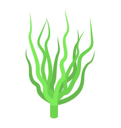 Alga Plant Icon Isometric Spirulina Food