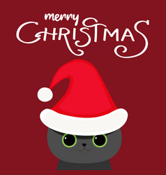 Funny Cat In Christmas Hat On Red Background