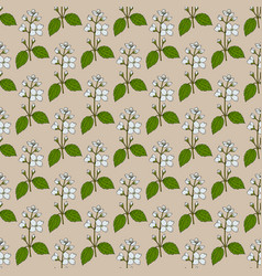 Seamless Pattern With Lewis Mock-orange