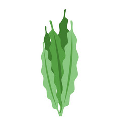 Spirulina Leaf Icon Isometric Alga Plant