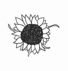 Sunflower Svg Flower Digital Download