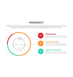 Baby Things Circle Percentage For Pregnant