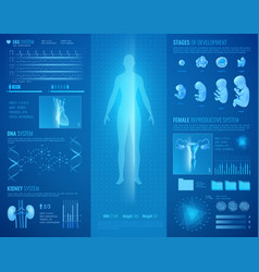 Medical Hud Interface With Heart And Kidney