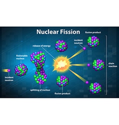 Nuclear fission Royalty Free Vector Image - VectorStock