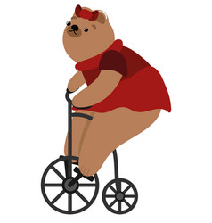 Cute Bear Riding Bike