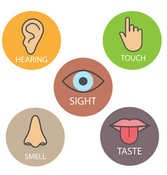 Human Senses Icon Flat