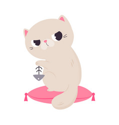 Cute Grumpy Cat With White Coat Sitting On Pink