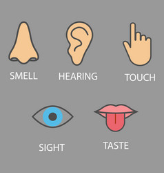 Human Senses Icon Flat