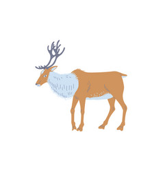 Standing Reindeer Arctic Animal Side View Flat