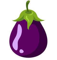 Small Fresh Purple Eggplant Whole