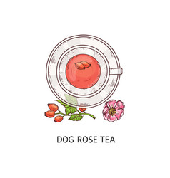 Dog Rose Tea In Glass Teacup And Plate Duo