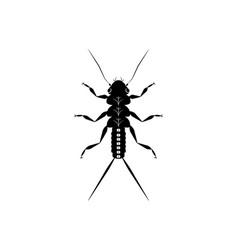 Black And White Stonefly Nymph Insect Clipart