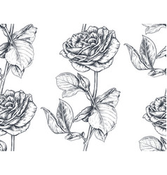 Roses seamless pattern hand drawn rose floral Vector Image