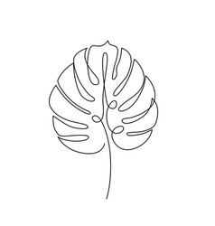 Monstera Leaf Line Art Tropical Leaf