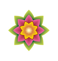 Lotus Flower And Leaf