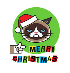 Grumpy Cat In Christmas Hat Merry Christmas