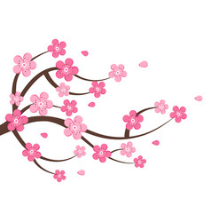 Cherry Blossom Clipart Isolated On White