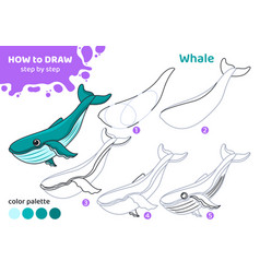 Drawing Tutorial For Kids How To Draw Whale