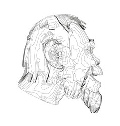 Contour Head A Neanderthal Head