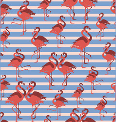 Coral Flamingo Flock Of Tropical Birds