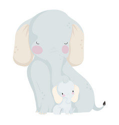 Elephant Mom With Baby