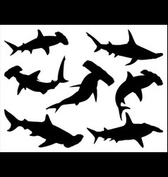 Hammerhead Shark Silhouette