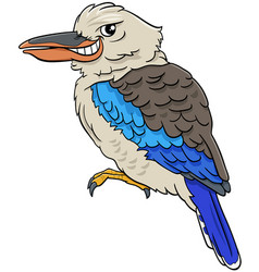 Kookaburra Bird Animal Character Cartoon