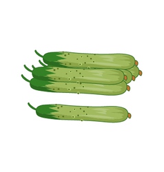 Wax Gourd