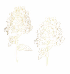 Hand Draw Golden Line Hydrangea Flowers