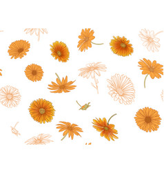 Calendula Medicinal Herbs And Flowers