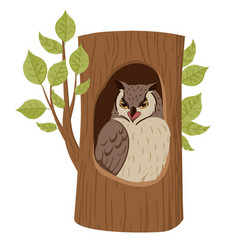 Cartoon Owl Sitting In Oak Nest Tree Hollow