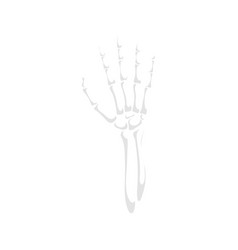 Skeleton Hand Gesture Isolated Open Palm