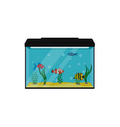 Fishes In Aquarium Clipart Fish Tank Isolated