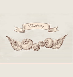 Vintage Drawing Set Of Blueberries