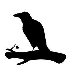 Realistic Raven Sitting On A Branch Stencil