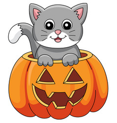 Pumpkin Cat Halloween Cartoon Colored Clipart