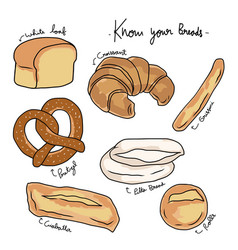 Know Your Breads Chart