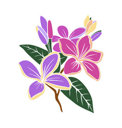 Purple Exotic Plumeria Flower Art Isolated