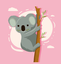 Australian Koala In Tree