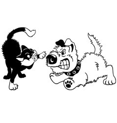 Dog And Cat Fighting