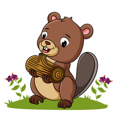 Beaver Is Holding A Piece Of Wood