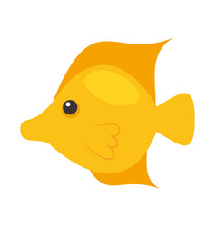 Cute Golden Fish