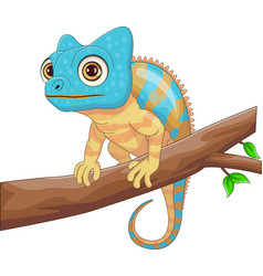 Cute Chameleon On Tree Cartoon