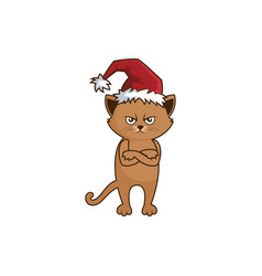 Christmas Angry Cat Hate Funny Animal Icon