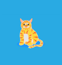 Cat Looking Something And Sitting On Pastel Blue