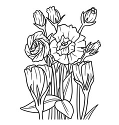 Lisianthus Flower Coloring Page For Adults