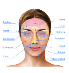 Face Mapping Infographics